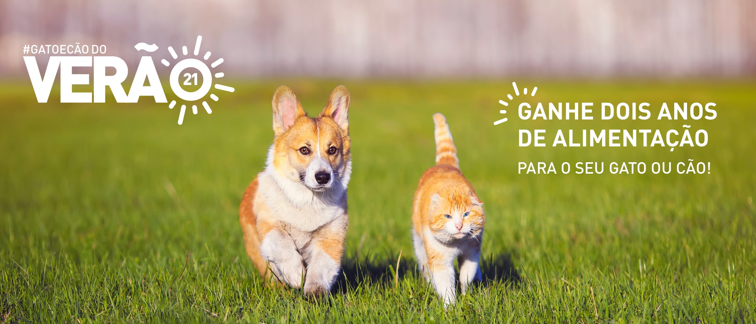 Royal Canin lança desafio GatoeCãodoVerão21 e oferece 2 anos de